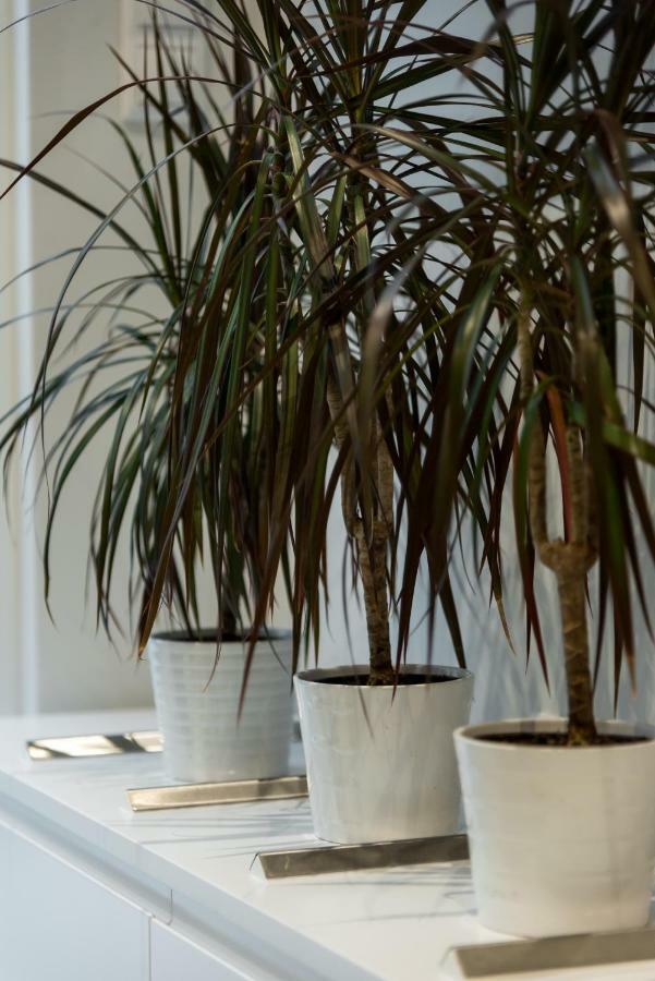 Central Cozy Studio With A Secret Garden Atena Exterior foto